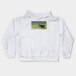 Bull Moose - Algonquin Park, Canada Kids Hoodie